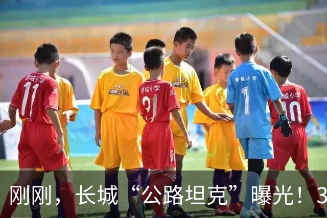 刚刚，长城“公路坦克”曝光！3.0T动力